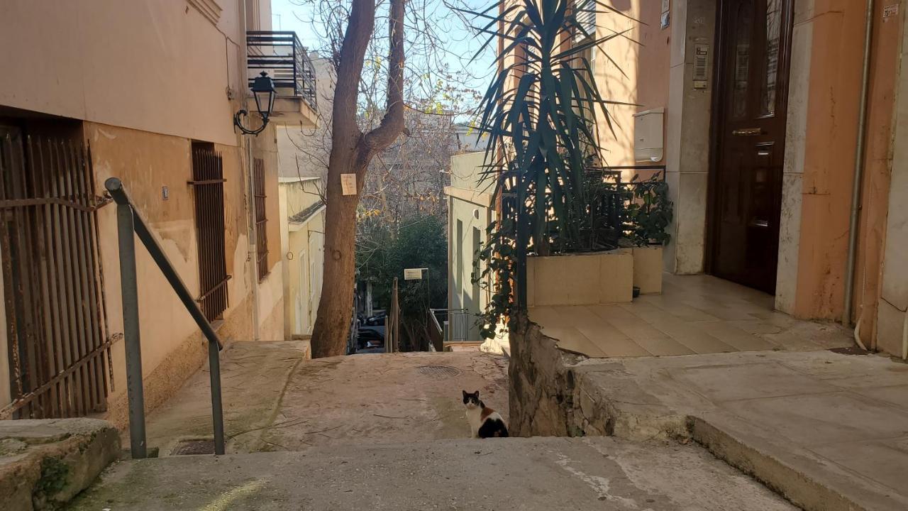 Sakura Hut Opposite The Panathenaic Stadium מראה חיצוני תמונה